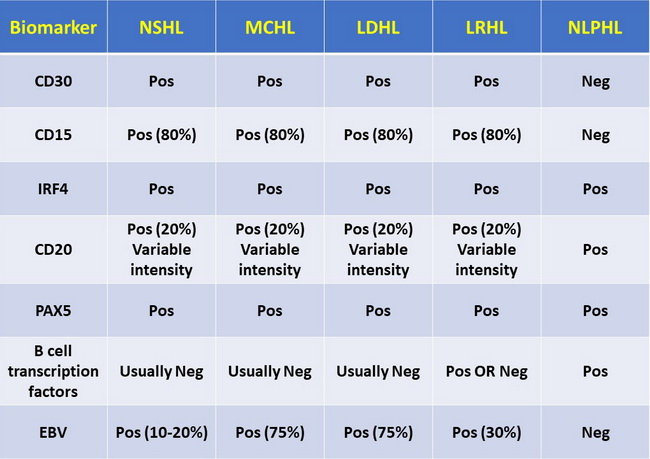 Molecular Characteristics of HL_resized.jpg